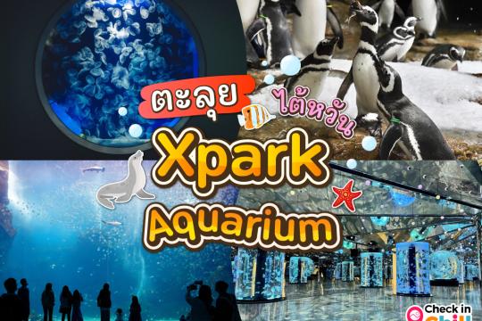 พาเที่ยว Xpark Aquarium ไต้หวัน 2025 ชมสัตว์น้ำนานาชนิดและล่องลอยไปกับห้องแมงกระพรุน