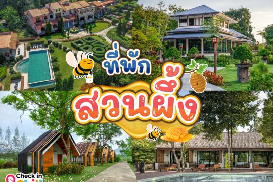 25 ที่พักสวนผึ้ง 2026 บรรยากาศธรรมชาติ พักผ่อนกลางหุบเขา