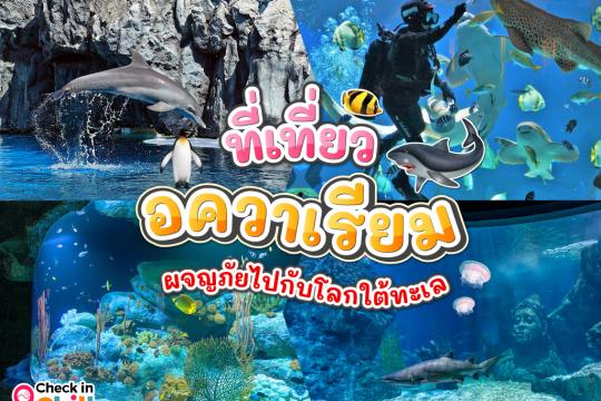 10 อควาเรียมในประเทศไทย 2025 เด็ดโดนใจ ผจญภัย ตื่นตาตื่นใจไปกับโลกใต้น้ำ