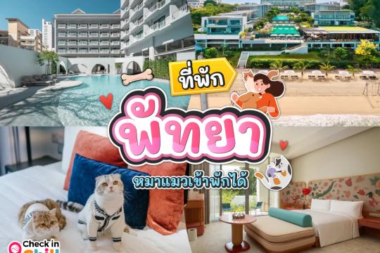 10 ที่พักพัทยา หมาแมวพักได้ 2025 ถูกใจทั้งคนและสัตว์เลี้ยง