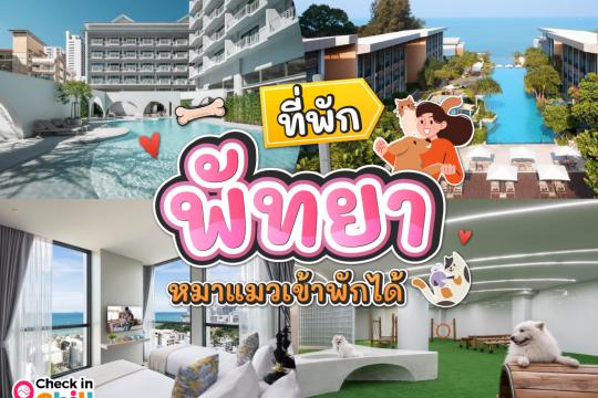 10 ที่พักพัทยา หมาแมวพักได้ 2025 ถูกใจทั้งคนและสัตว์เลี้ยง