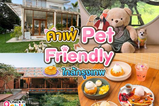 15 คาเฟ่ Pet Friendly ใกล้กรุงเทพ 2025 คนนั่งจิบชา กาแฟ ชิลล์ ๆ สัตว์เลี้ยงวิ่งเล่นไปมาเพลิดเพลิน