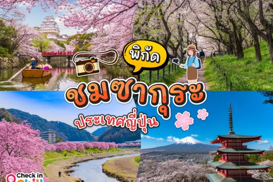 15 จุดชมซากุระ ญี่ปุ่น เมืองไหนดี มีวิธีเดินทาง พร้อมพยากรณ์ซากุระ 2025