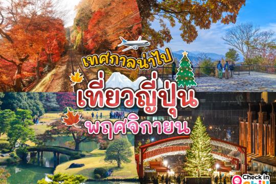 10 เทศกาลน่าไป เมื่อไปเที่ยวประเทศญี่ปุ่น ในเดือนพฤศจิกายน 2025
