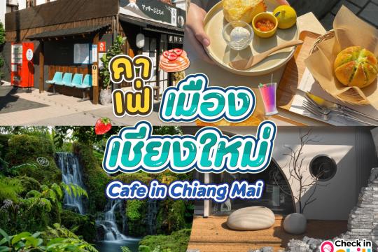 20 คาเฟ่เมืองเชียงใหม่ 2025 บรรยากาศดี ร้านสวย กาแฟอร่อย มุมถ่ายรูปเยอะ