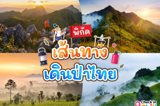 เส้นทางเดินป่าในไทย 2025