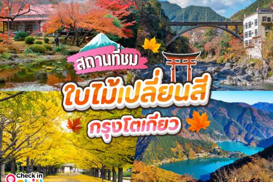แนะนำ 10 สถานที่ ชมใบไม้เปลี่ยนสี 2025 กรุงโตเกียว ประเทศญี่ปุ่น