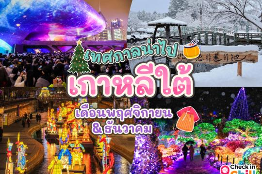 เทศกาลน่าไป ประเทศเกาหลีใต้ เดือนพฤศจิกายน 2025
