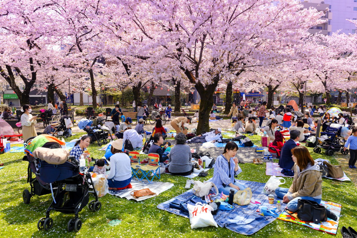 8 เทศกาลน่าไป เมื่อไปเที่ยวประเทศญี่ปุ่น ในเดือนเมษายน 2023 – Checkinchill