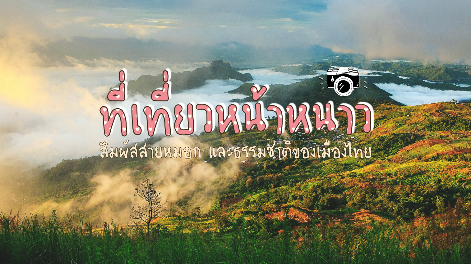 9 ที่เที่ยวหน้าหนาว สัมผัสสายหมอก และธรรมชาติของเมืองไทย – CheckInChill