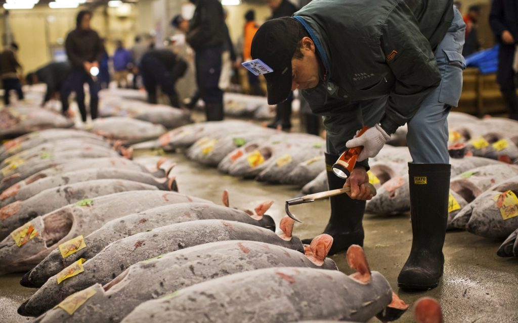 ตลาดปลาสึกิจิ